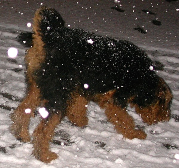 Giorgios erster Schnee