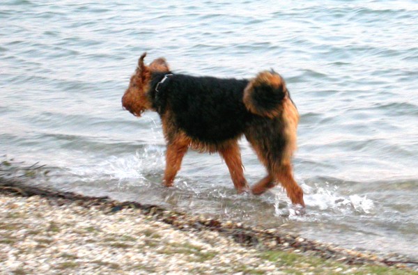 Giorgio Fußbad im Weiher