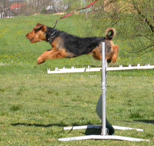 Giorgio springt über die Hürde 2 Giorgio springt über die Hürde 2