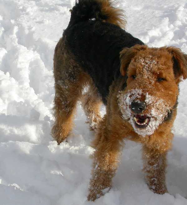 Giorgio im Schnee